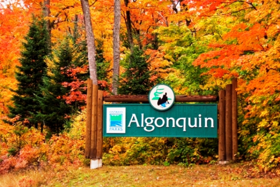 پارک استانی الگونکوین