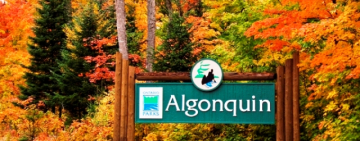 پارک استانی الگونکوین