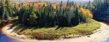 پارک استانی اروهد