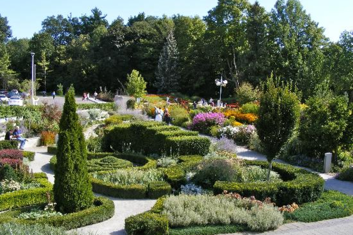 باغ گیاه‌شناسی تورنتو