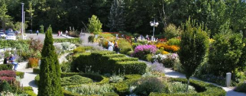 باغ گیاه‌شناسی تورنتو