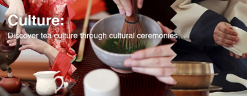 جشنواره چای تورنتو (Toronto Tea Festival)